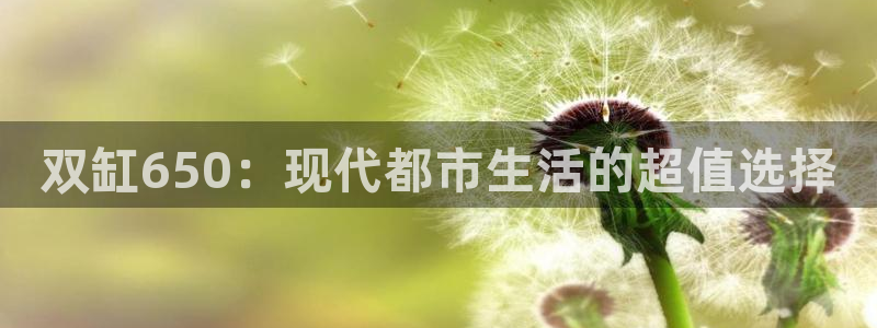 海角社区最新入口：双缸650：现代都市生