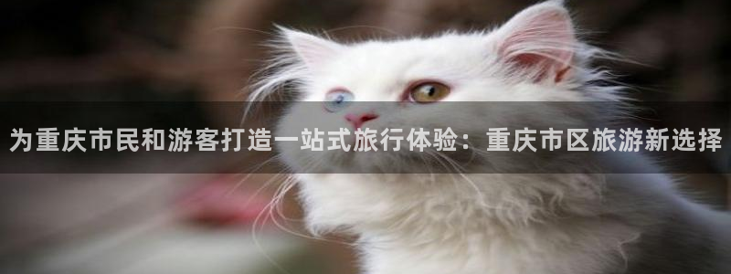 海角社区 最新网址：为重庆市民和游客打造