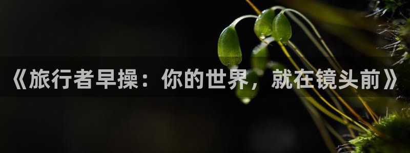 海角社区是干嘛的：《旅行者早操：你的世界