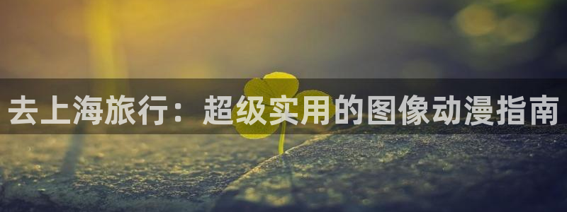 海角社区母亲：去上海旅行：超级实用的图像