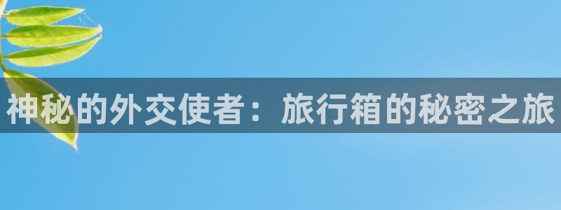 海角社区 网站：神秘的外交使者：旅行箱的