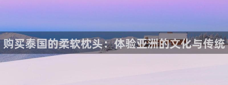 海角社区官网一号：购买泰国的柔软枕头：体