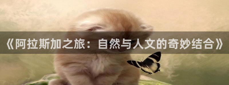 “海角社区安卓下载：《阿拉斯加之旅：自然与